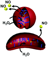 Graphical abstract: Biofilm dispersal using nitric oxide loaded nanoparticles fabricated by photo-PISA: influence of morphology