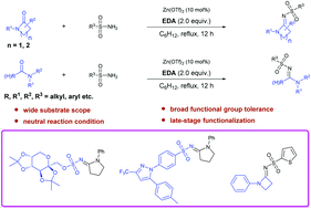 Graphical abstract: Interception of amide ylides with sulfonamides: synthesis of (E)-N-sulfonyl amidines catalyzed by Zn(OTf)2