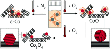 Graphical abstract: Assembly and activation of supported cobalt nanocrystal catalysts for the Fischer–Tropsch synthesis