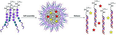 Graphical abstract: Responsive DNA G-quadruplex micelles