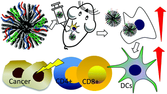 Graphical abstract: Synergistic effects of stellated fibrous mesoporous silica and synthetic dsRNA analogues for cancer immunotherapy