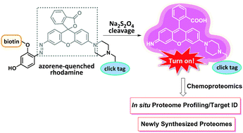 Graphical abstract: A chemoselective cleavable fluorescence turn-ON linker for proteomic studies