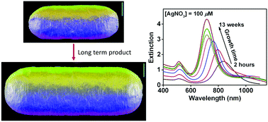 Graphical abstract: The evolution of size, shape, and surface morphology of gold nanorods