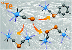 Graphical abstract: Bis(alkylidynyl)tellurides and ditellurides