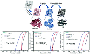 Graphical abstract: Porous CoP nanosheets converted from layered double hydroxides with superior electrochemical activity for hydrogen evolution reactions at wide pH ranges