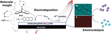 Graphical abstract: Mild electrochemical synthesis of metal phosphides with dibenzo-7-phosphanorbornadiene derivatives: mechanistic insights and application to proton reduction in water