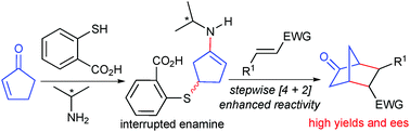 Graphical abstract: Asymmetric [4+2] annulations to construct norcamphor scaffolds with 2-cyclopentenone via double amine–thiol catalysis