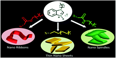 Graphical abstract: Unprecedented self-assembled architectures of surface-active ionic liquids in aqueous medium