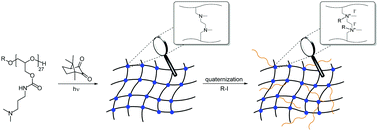Graphical abstract: Light-induced cross-linking and post-cross-linking modification of polyglycidol