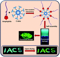 Graphical abstract: Carbon nanodot-induced gelation of a histidine-based amphiphile: application as a fluorescent ink, and modulation of gel stiffness