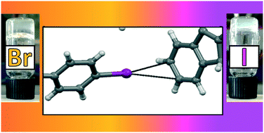 Graphical abstract: Halogen bonding modulates hydrogel formation from Fmoc amino acids