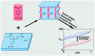 Graphical abstract: A robust anionic pillared-layer framework with triphenylamine-based linkers: ion exchange and counterion-dependent sorption properties