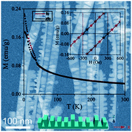 Graphical abstract: Solution synthesis of conveyor-like MnSe nanostructured architectures with an unusual core/shell magnetic structure