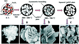 Graphical abstract: Growth of well-developed LaOCl microplates by chloride salt-assisted method