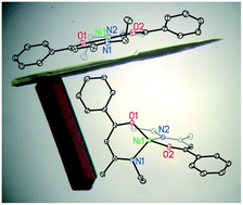 Graphical abstract: Interrelationships between the tetrahedral and planar polymorphs of bis(3-ethylamino-1-phenyl-but-2-en-1-ono)nickel(ii) and structural comparisons with related CoII, NiII, CuII, and ZnII complexes