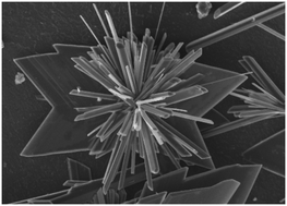 Graphical abstract: Calcite passivation by gypsum: the role of the cooperative effect