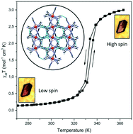 Graphical abstract: Solvatomorphism and structural-spin crossover property relationship in bis[hydrotris(1,2,4-triazol-1-yl)borate]iron(ii)