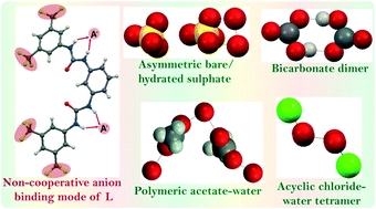 Graphical abstract: Anion binding consistency by influence of aromatic meta-disubstitution of a simple urea receptor: regular entrapment of hydrated halide and oxyanion clusters