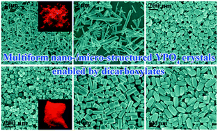 Graphical abstract: Dicarboxylate mediated efficient morphology/phase tailoring of YPO4:Ln3+ crystals and investigation of down-/up-conversion luminescence