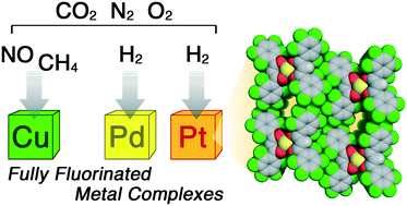 Graphical abstract: Enhanced adsorption of small gas molecules in metal (Cu2+, Pd2+, Pt2+) complexes induced by ligand fluorination