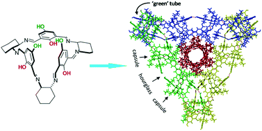Graphical abstract: Unexpected formation of a tubular architecture by optically active pure organic calixsalen
