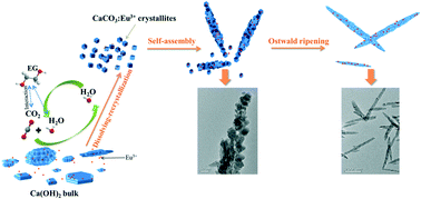 Graphical abstract: Facile surfactant- and template-free synthesis and luminescence properties of needle-like calcite CaCO3:Eu3+ phosphors