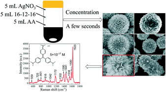 Graphical abstract: Rapid synthesis of hierarchical, flower-like Ag microstructures with a gemini surfactant as a directing agent for SERS applications