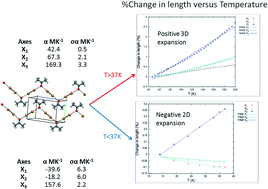 Graphical abstract: Negative 2D thermal expansion in the halogen bonded acetone bromine complex