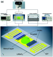Graphical abstract: Growth of β-glycine crystals promoted by standing surface acoustic waves (SSAWs)