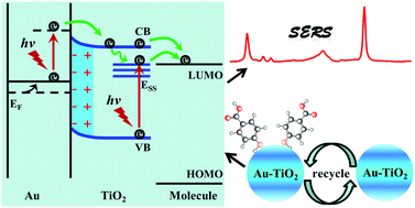 Graphical abstract: Recyclable Au–TiO2 nanocomposite SERS-active substrates contributed by synergistic charge-transfer effect