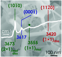Graphical abstract: ZnO powders as multi-facet single crystals