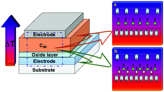 Graphical abstract: Tuning the Seebeck effect in C60-based hybrid thermoelectric devices through temperature-dependent surface polarization and thermally-modulated interface dipoles