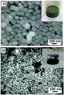 Graphical abstract: Metal nanoinks as chemically stable surface enhanced scattering (SERS) probes for the analysis of blue BIC ballpoint pens