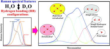 Graphical abstract: Understanding water structure from Raman spectra of isotopic substitution H2O/D2O up to 573 K