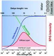 Graphical abstract: Surface-specific vibrational spectroscopy of the water/silica interface: screening and interference