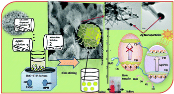 Graphical abstract: Growth study of hierarchical Ag3PO4/LaCO3OH heterostructures and their efficient photocatalytic activity for RhB degradation