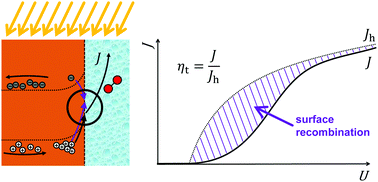 Graphical abstract: Accurate determination of the charge transfer efficiency of photoanodes for solar water splitting