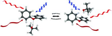Graphical abstract: Multi-spectroscopic and theoretical analyses on the diphenyl ether–tert-butyl alcohol complex in the electronic ground and electronically excited state