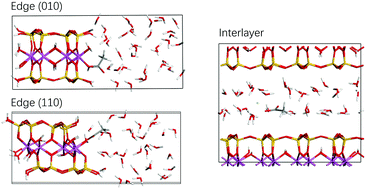 Graphical abstract: Complexation of carboxylate on smectite surfaces