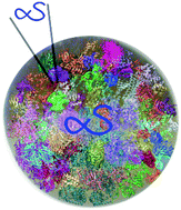 Graphical abstract: Room-temperature in-cell EPR spectroscopy: alpha-Synuclein disease variants remain intrinsically disordered in the cell