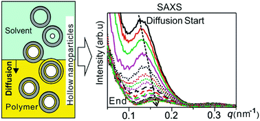 Graphical abstract: Solvent diffusion in polymer-embedded hollow nanoparticles studied by in situ small angle X-ray scattering