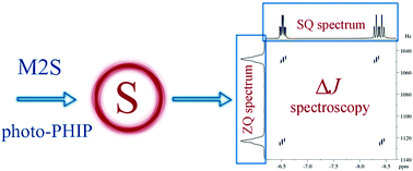 Graphical abstract: Coherent evolution of singlet spin states in PHOTO-PHIP and M2S experiments
