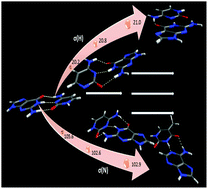 Graphical abstract: Intermolecular magnetic interactions in stacked DNA base pairs