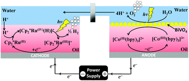 Graphical abstract: Mediated water electrolysis in biphasic systems