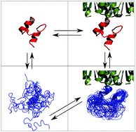 Graphical abstract: Interplay between the folding mechanism and binding modes in folding coupled to binding processes