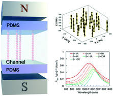 Graphical abstract: Theoretical study of the photothermal behaviour of self-assembled magnetic–plasmonic chain structures