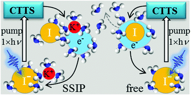 Graphical abstract: Counterion effects on the ultrafast dynamics of charge-transfer-to-solvent electrons