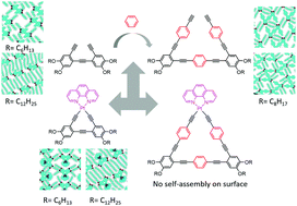 Graphical abstract: Two-dimensional (2D) self-assembly of oligo(phenylene-ethynylene) molecules and their triangular platinum(ii) diimine complexes studied using STM