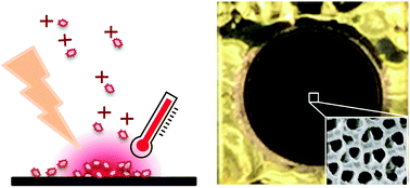 Graphical abstract: Tailoring a nanostructured plasmonic absorber for high efficiency surface-assisted laser desorption/ionization