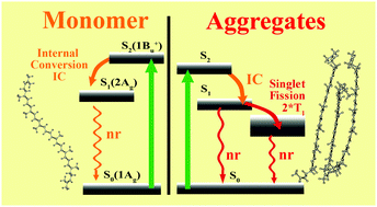 Graphical abstract: Lycopene crystalloids exhibit singlet exciton fission in tomatoes